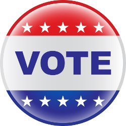 Vote pin